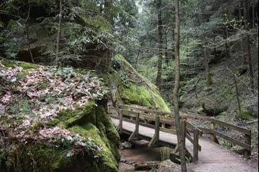 Conkle's Hollow