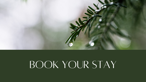 Book your lodging now image