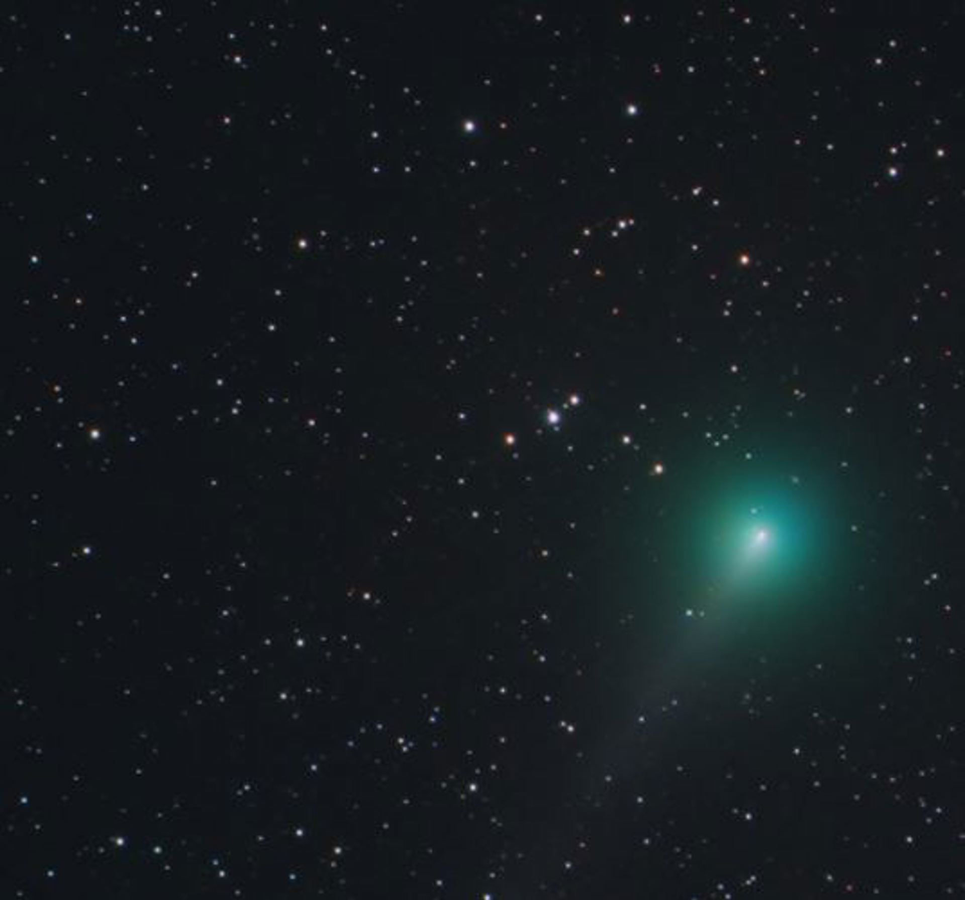 Jgap Comet C2019 Joe Renzetti